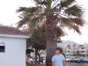 100_4204.jpg